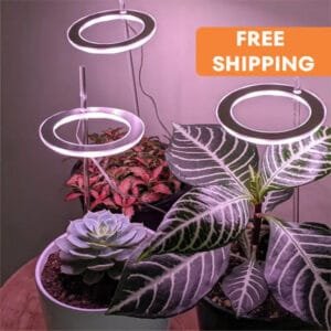Lampe De Culture Led Angel Ring Pour Plantes D’intérieur