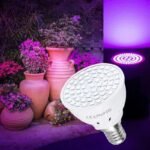 Lampe De Culture Led Parfaite Pour Une Croissance Optimale Des Plantes