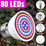 Lampe De Culture Led Parfaite Pour Une Croissance Optimale Des Plantes