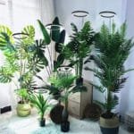 Lampe De Culture Led Ring Réglable Pour Plantes D’intérieur
