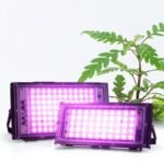 Lumière Led D&rsquo;intérieur Pour Une Croissance Optimale Des Plantes