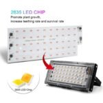 Lumière Led D&rsquo;intérieur Pour Une Croissance Optimale Des Plantes
