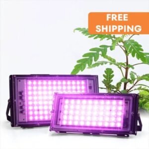 Lumière Led D’intérieur Pour Une Croissance Optimale Des Plantes