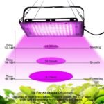 Lumière Led D&rsquo;intérieur Pour Une Croissance Optimale Des Plantes