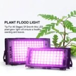 Lumière Led D&rsquo;intérieur Pour Une Croissance Optimale Des Plantes
