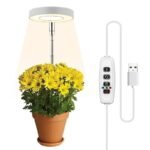 Lumière Led Halo Intérieure Pour Une Croissance Saine Des Plantes
