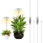Lumière Led Halo Intérieure Pour Une Croissance Saine Des Plantes
