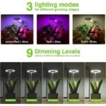 Lumière Led Halo Intérieure Pour Une Croissance Saine Des Plantes
