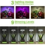 Lumière Led Halo Intérieure Pour Une Croissance Saine Des Plantes