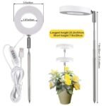 Lumière Led Halo Intérieure Pour Une Croissance Saine Des Plantes