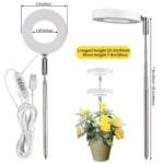 Lumière Led Halo Intérieure Pour Une Croissance Saine Des Plantes