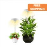 Lumière Led Halo Intérieure Pour Une Croissance Saine Des Plantes