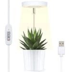 Lumière Led Halo Intérieure Pour Une Croissance Saine Des Plantes