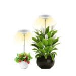 Lumière Led Halo Intérieure Pour Une Croissance Saine Des Plantes