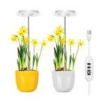 Lumière Led Halo Intérieure Pour Une Croissance Saine Des Plantes