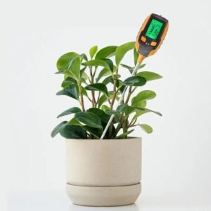 Mesurez L’humidité Et L’alcalinité Pour Vos Plantes Avec Le Soil Meter
