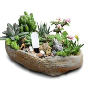 Mètre D’humidité Du Sol En Acier Inoxydable Haut De Gamme