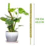 Moss Pole Flexible Pour Pothos Et Plantes Grimpantes écologiques - 110cm