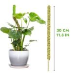 Moss Pole Flexible Pour Pothos Et Plantes Grimpantes écologiques