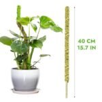Moss Pole Flexible Pour Pothos Et Plantes Grimpantes écologiques