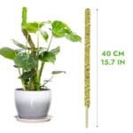 Moss Pole Flexible Pour Pothos Et Plantes Grimpantes écologiques - 40cm