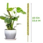 Moss Pole Flexible Pour Pothos Et Plantes Grimpantes écologiques