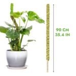 Moss Pole Flexible Pour Pothos Et Plantes Grimpantes écologiques