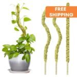Moss Pole Flexible Pour Pothos Et Plantes Grimpantes écologiques