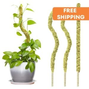 Moss Pole Flexible Pour Pothos Et Plantes Grimpantes écologiques