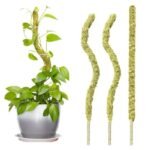 Moss Pole Flexible Pour Pothos Et Plantes Grimpantes écologiques