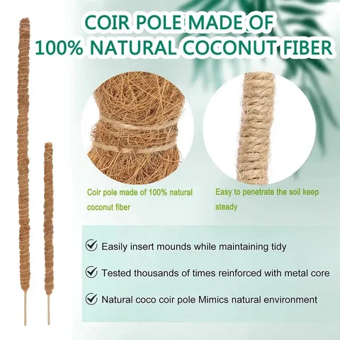 Tuteur En Coco Coir Flexible Pour Plantes Grimpantes 10 Poteau de mousse pour Philodendron