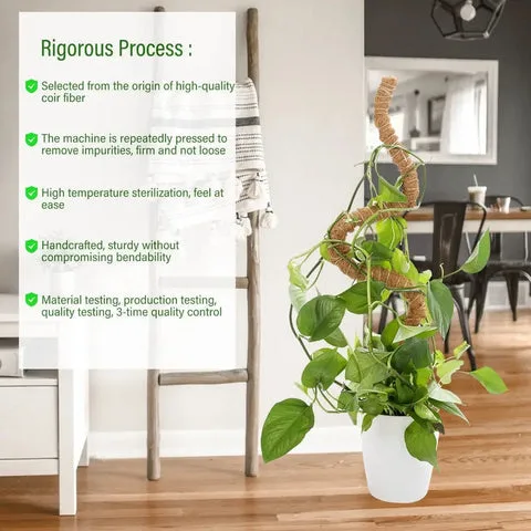 Tuteur En Coco Coir Flexible Pour Plantes Grimpantes 11 Poteau de mousse pour Philodendron