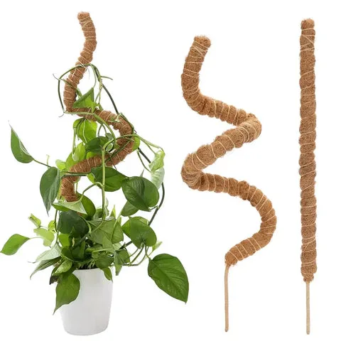 Tuteur En Coco Coir Flexible Pour Plantes Grimpantes 12 Poteau de mousse pour Philodendron