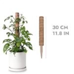 Moss Poles En Coco Coir Pour Une Croissance Luxuriante Des Plantes
