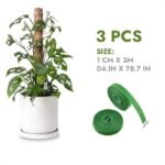 Moss Poles En Coco Coir Pour Une Croissance Luxuriante Des Plantes