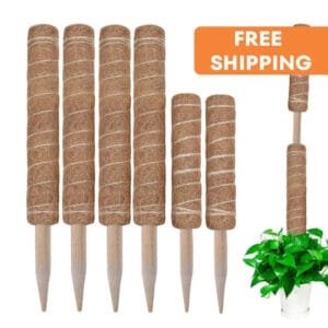 Moss Poles En Coco Coir Pour Une Croissance Luxuriante Des Plantes