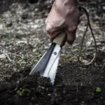 Outil de désherbage et de transplantation de jardin