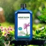 Notre Solution Nutritive Pour Un Jardin éclatant Et Florissant