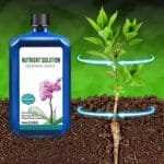 Notre Solution Nutritive Pour Un Jardin éclatant Et Florissant