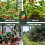 Notre Testeur De Sol 5 En 1 Pour Une Croissance Optimale Des Plantes