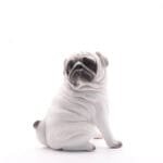 Ornements De Chien: Décoration Charmante Pour Votre Maison - c