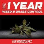 Ortho Groundclear Year Long : élimination Durable Des Mauvaises Herbes
