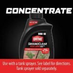 Ortho Groundclear Year Long : élimination Durable Des Mauvaises Herbes