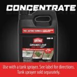 Ortho Groundclear Year Long : élimination Durable Des Mauvaises Herbes