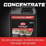 Ortho Groundclear Year Long : élimination Durable Des Mauvaises Herbes