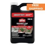 Ortho Groundclear Year Long : élimination Durable Des Mauvaises Herbes