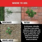 Ortho Groundclear Year Long : élimination Durable Des Mauvaises Herbes