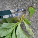 Outil De Désherbage Avec Manche En Plastique Pour Le Jardinage