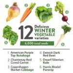 Pack De Graines De Légumes D&rsquo;hiver Pour Votre Jardin Maison