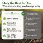 Pack De Graines De Légumes D&rsquo;hiver Pour Votre Jardin Maison